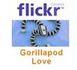 Flickr Gorillapod Gruppe