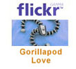 Flickr Gorillapod Pool